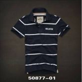 Polo Hollister