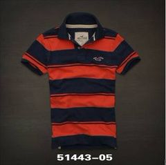 Polo Hollister