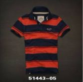 Polo Hollister